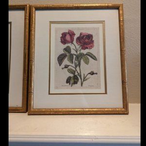 6"x9" Original Nicolas Robert Print French Artist 1600s Antique Fine Art
